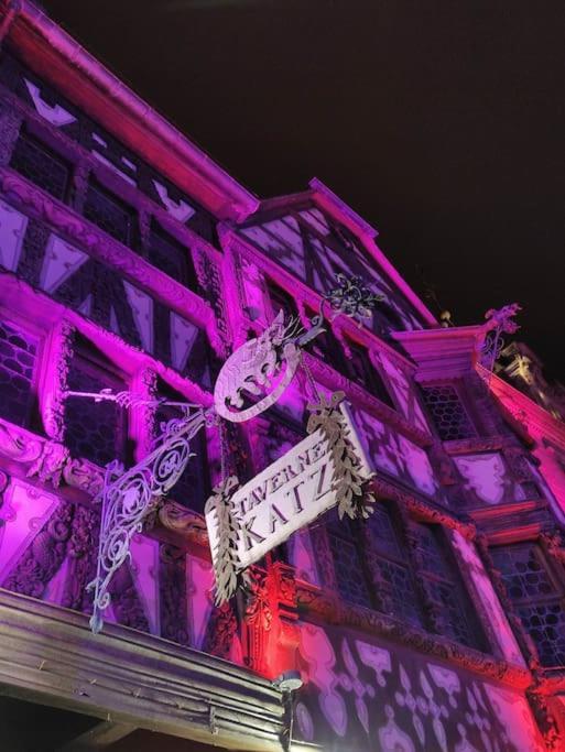 Appartement Le Saver'Zaru, Centre Ville, T2 55M² サヴェルヌ エクステリア 写真